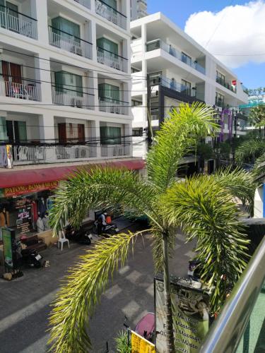 palma przed budynkiem w obiekcie Siam Palm Residence w Patong Beach
