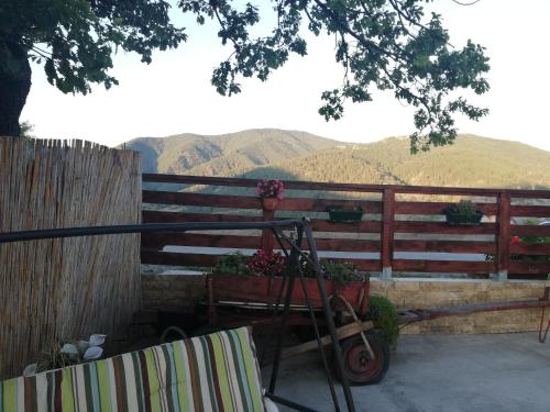 a garden cart with flowers in it next to a fence at Tri bagrema KM in Mokra Gora