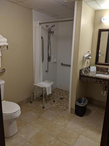 a bathroom with a shower and a toilet and a sink at AmericInn by Wyndham St. Peter in Saint Peter