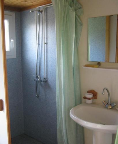 a bathroom with a shower curtain and a sink at Village-Chalets Le Rû du Pré in Cravant