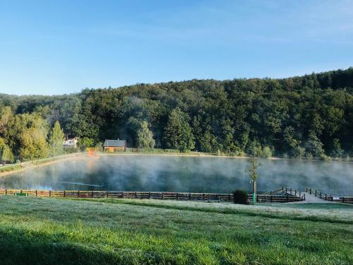 a misty lake next to a field and a forest at Restaurace penzion Pod Šumárníkem in Tvarožná Lhota
