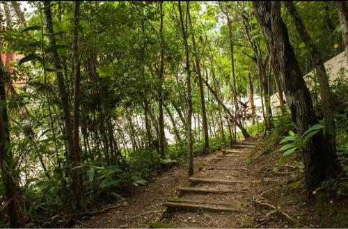 a path in the middle of a forest with stairs at Apê da Gabi in Balneário Camboriú