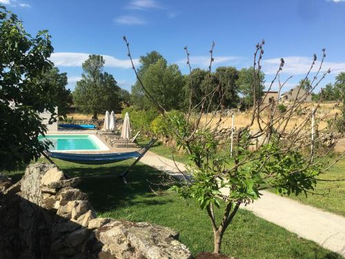 a garden with a hammock next to a swimming pool at Casa dos Edras in Miranda do Douro