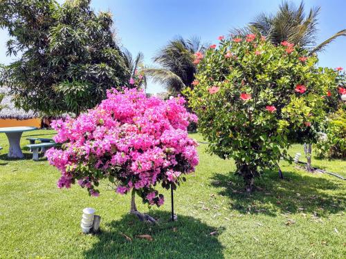 Κήπος έξω από το Jardim dos Orixás