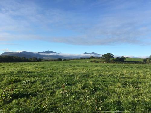a field of green grass with mountains in the background at Farmyard Lane Glamping in Killarney