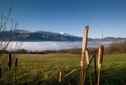 a fence with hot dogs on it in a field at Boutique Hotel Palazzo Corso Umberto in Boiano