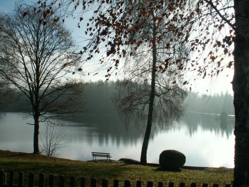 a bench sitting next to a lake with trees at Gästehaus Familie Grudl in Bärnkopf