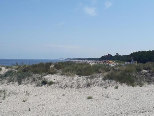 a sandy beach with grass and the ocean in the background at Casa del Mare, Apartments and more in Łeba
