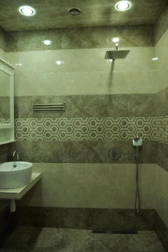  Spacious Modern 2 Bedrooms Apartment in Central Yerevan -  Chambre  photo :   Shower    TV    Air conditioning                           