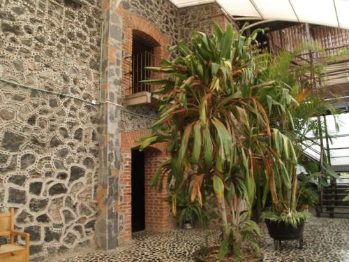 Galería fotográfica de Hotel Vitorina en Atlixco