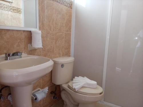 y baño con aseo, lavabo y ducha. en Hotel D Abril, en Santa Cruz Huatulco