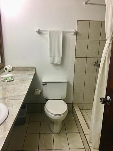 a bathroom with a white toilet and a shower at Hotel Ambassador in San José