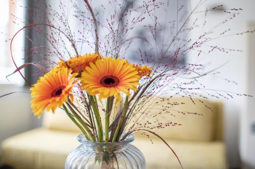 Fotografie z fotogalerie ubytování Sunshine Appartements Schilchegger v destinaci Obertauern