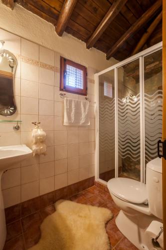 a bathroom with a toilet and a shower and a sink at Villa Palaios Agios Athanasios in Palaios Agios Athanasios