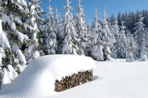 a pile of snow next to a pile of trees at Gästehaus Familie Grudl in Bärnkopf