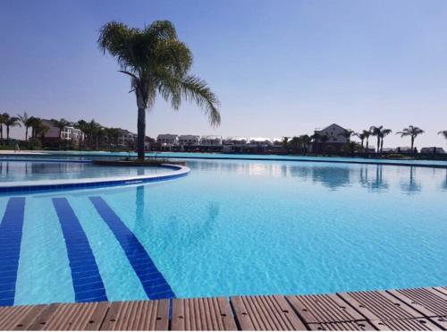 une grande piscine avec un palmier. dans l'établissement The Blyde, an impeccable blissful getaway (Balwin properties), à Pretoria