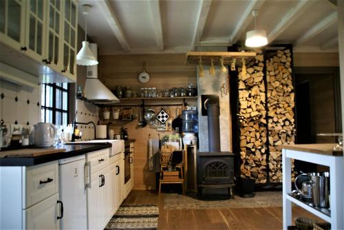eine Küche mit einem Holzofen im Zimmer in der Unterkunft Dzērves in Araiši