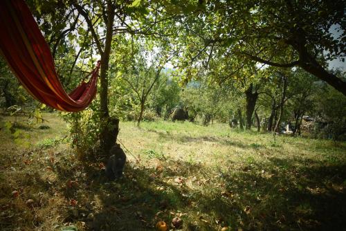 a hammock hanging from a tree in a field at Casa Smeilor Horezu in Horezu