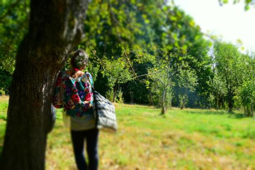 a woman standing next to a tree in a field at Casa Smeilor Horezu in Horezu