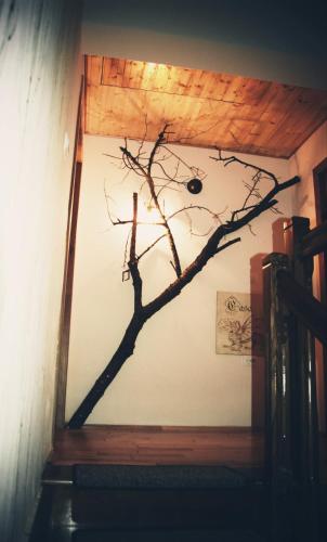 a tree branch on the wall of a room at Casa Smeilor Horezu in Horezu