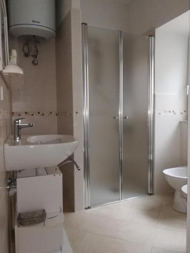 a bathroom with a shower and a sink at Appartamento da Pino in Baselga di Pinè