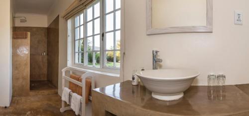 a bathroom with a large white bowl sink on a counter at Tanagra Wine & Guestfarm in McGregor