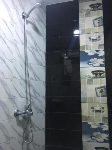 Dar Arij tesisinde bir banyo
