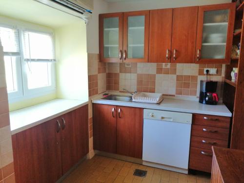 a kitchen with wooden cabinets and a sink and a window at Apartments Luce in Kornić