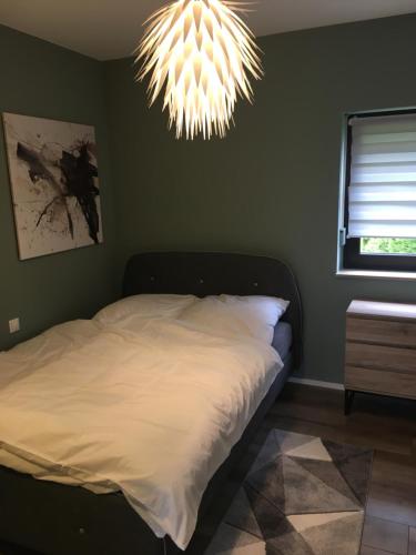 1 dormitorio con cama y lámpara de araña en Three en Coblenza