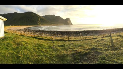 a beach with a fence next to the ocean at Lofoten Fjord Lodge in Saupstad