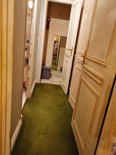 a hallway with a green floor in a house at Le Kino Panorama in Vic-sur-Cère