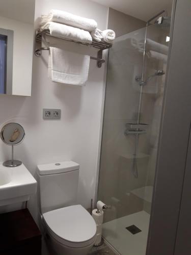 a bathroom with a toilet and a shower with towels at La Sinagoga in Peñaranda de Duero