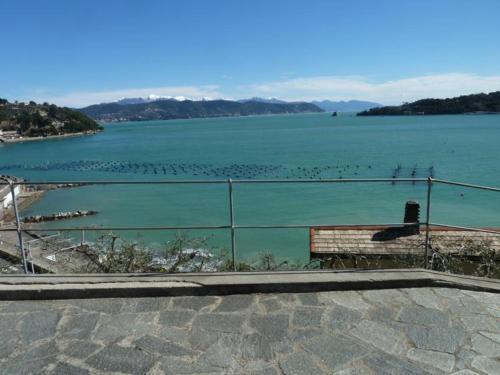 vista su un lago con uccelli in acqua di B&B La Palafitta a Portovenere