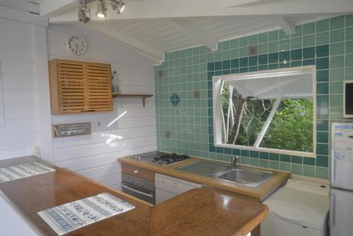a kitchen with a sink and a window in it at GREEN HOUSE in Deshaies