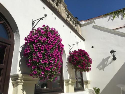 two hanging baskets of flowers on the side of a building at U svatého Urbana in Mikulov
