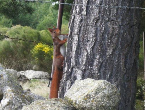 Φυσικό τοπίο κοντά σε αυτός ο ξενώνας