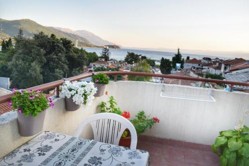 Naturlandskabet i nærheden af pensionatet