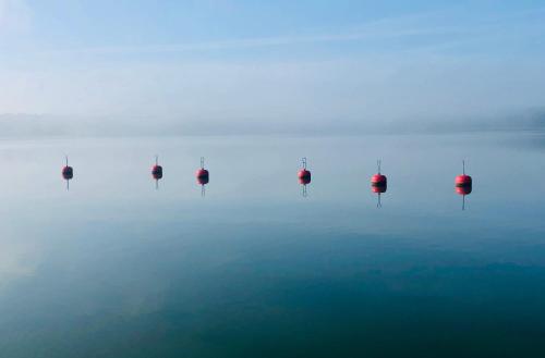 a group of balls in the water in the fog at Villa Ekbladh in Västanfjärd