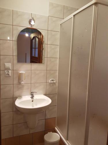 uma casa de banho com um lavatório e um chuveiro em KORNELIA pokoje gościnne em Stronie Śląskie