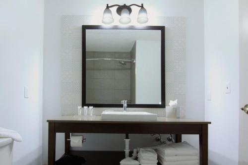 Vonios kambarys apgyvendinimo įstaigoje Country Inn & Suites by Radisson, Annapolis, MD