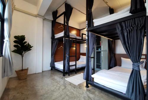 two bunk beds in a room with a potted plant at Apartment45 Hostel in Bangkok