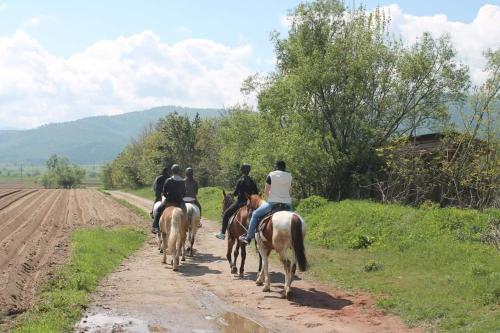 Άλλα ζώα σε αυτό το διαμέρισμα ή στη γύρω περιοχή