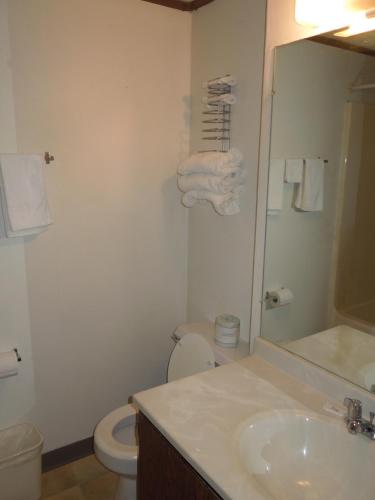 a bathroom with a sink and a toilet and a mirror at Xenia Country Inn in Xenia