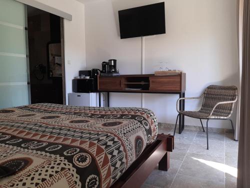 1 dormitorio con 1 cama y escritorio con TV en Chambre d hôte piscine spa, en Alba La Romaine
