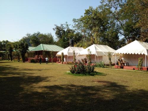 Zahrada ubytování Jungle View Resort Ranthambhore