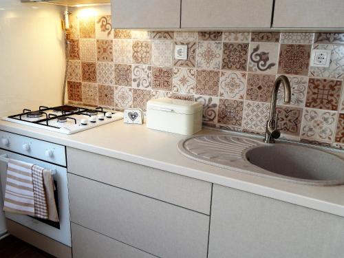 uma cozinha com um lavatório e um fogão em Studio APARTMAN TVRTKO em Varaždin