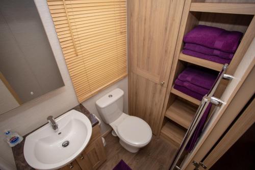 a bathroom with a toilet and a sink and purple towels at Robin's Retreat in South Cerney