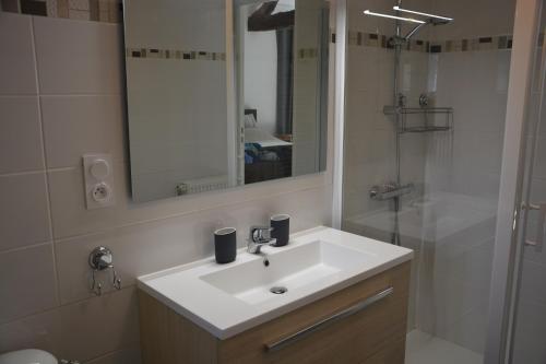 ein Bad mit einem Waschbecken und einer Dusche mit einem Spiegel in der Unterkunft Domaine de Merugat Chambre d'Hôtes in Valeilles