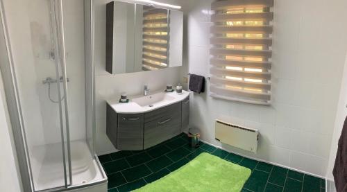 een badkamer met een wastafel en een douche met een spiegel bij Ferienhaus Wertner in Buchschachen
