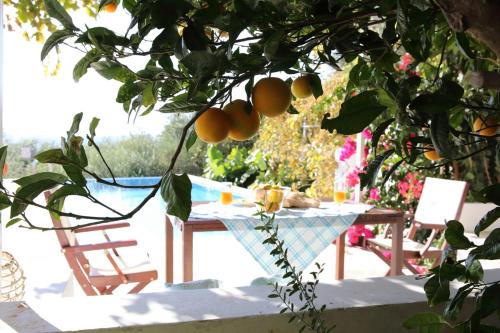 Κήπος έξω από το Euphoria - South Crete Villas